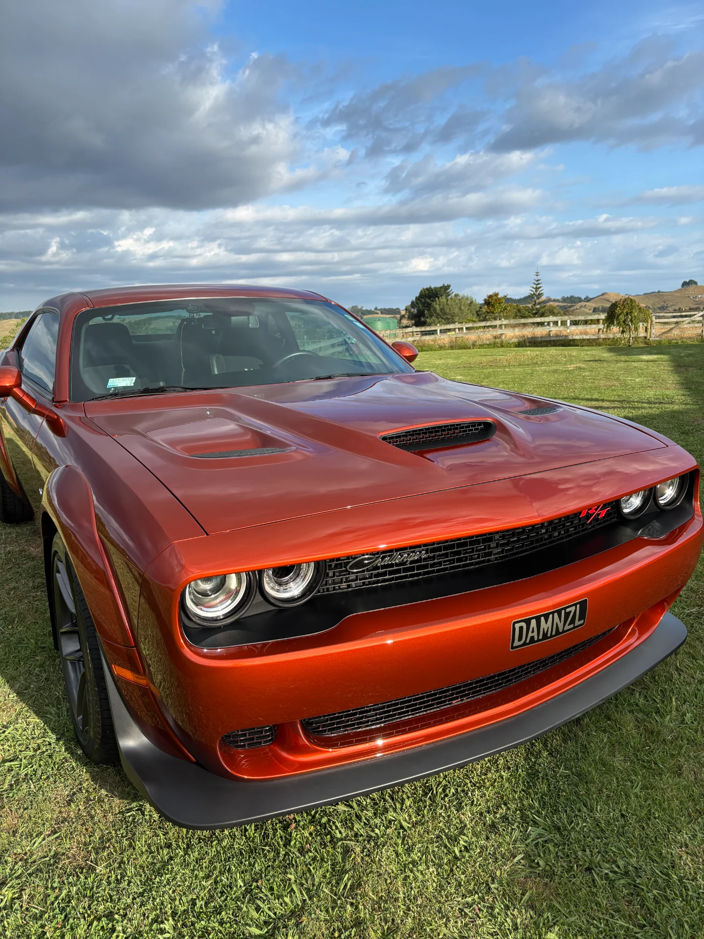 Dodge Challenger ceramic coating Bay of Plenty